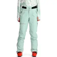 Spyder Turret Gore-tex Shell Pants Vert L Femme