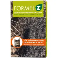 Formel-Z - Chat