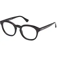 Web Lunettes de Vue - - WE5443 - Acétate Havana - Marron - 50/21/150