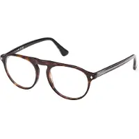 Web Lunettes de Vue - - WE5429 - Coloured havana - Acétate - Homme