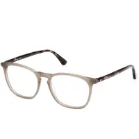 Web Lunettes de Vue WE5419 53/17/145 Beige Acetate MAN WE5419