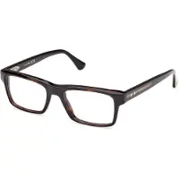 Web Lunettes de Vue WE5432 55/18/150 Havana Acetate MAN WE5432