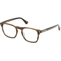 Web Lunettes de Vue - - WE5386 - Acétate marron - 50/20/145 - Homme