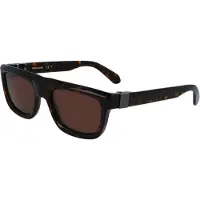 Ferragamo Sf2009s-242 56/21/145 Sunglasses Marron Homme