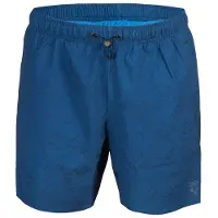 Arena Short de bain Evo Ao