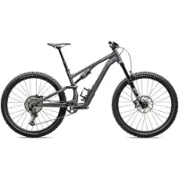 Specialized Stumpjumper 15 Comp 29´´ Slx M7100 Sgs 2025 Mtb Bike Gris S5