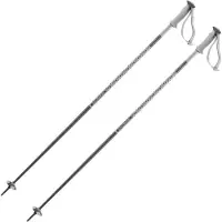 Salomon Polar Poles Argenté 115 cm