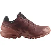 Salomon Chaussures Speedcross 6 Gtx Gore-tex 475843