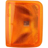 DT Spare Parts Feu de position DT PIÈCES DE RECHANGE IAM-Expertise, compatible avec le DAF 95