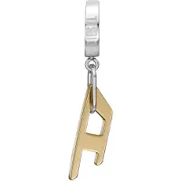 Diesel Boucles d'oreilles or / argent