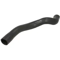 THERMOTEC Tuyau caoutchouc, refroidissement moteur DWX270TT