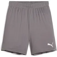 Puma Shorts de Sport - TeamGOAL - Distribution Iron av. Blanc - - 10 ans (140) - Shorts