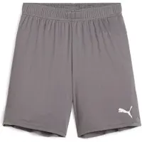 Puma Teamgoal Short Enfants - Gris