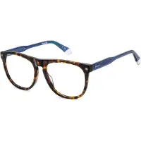 Polaroid Lunettes de Vue PLD D541 55/17/145 Havana Acetate frames UNISEX PLD D541
