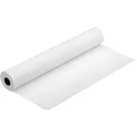 Epson Rouleau de papier photo Premium Luster (260 g/m², Plotter rouleaux), Papier photo, Blanc