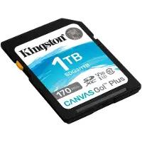 Kingston Carte mémoire SDXC CANVAS GO PLUS 1 To