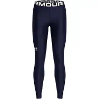 Under Armour Heatgear Authentics Leggings Bleu L Femme