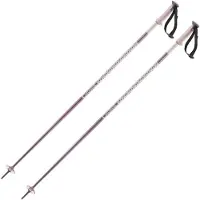 Salomon Polar Poles Argenté 125 cm