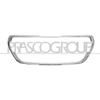 PRASCO PG3282216 Radiator grill