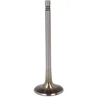 TRW Soupape d'admission 331116