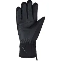Viking Paganella Gore-tex Gloves Noir 5 Femme