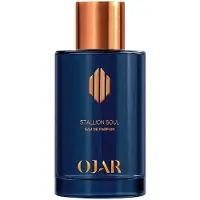 Ojar Stallion Soul 100ml Eau De Parfum Bleu Homme