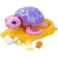 Salva Las Mascotas The Turtle Assorted Multicolore Enfants