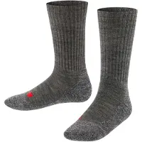 Falke Chaussettes de sport gris foncé / rouge
