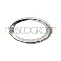 PRASCO Grille de ventilation, pare-chocs 6502-07-3528920P droite