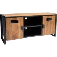 WAN Meuble TV avec 2 portes, dimensions 150x40x60 cm, en bois de manguier et métal