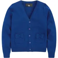 Next Cardigan bleu