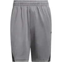 Adidas Pantalon de sport 'Legends' gris / noir