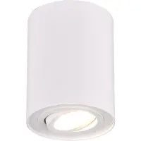 TRIO Spot de plafond Cookie
