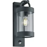 TRIO Applique d'extérieur avec détecteur de mouvement SAMBESI anthracite 1xE27x28W aluminium, dimensions : 33x12,5x12,5 cm, IP44