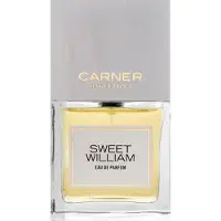Custo barcelona Barcelone Sweet William EDP - 100 ml