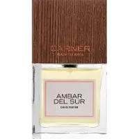 CARNER BARCELONA Ambar Del Sur EDP 100 ml UNISEX
