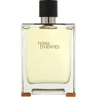 Hermès Paris Parfum pur Terre D'de 75ml