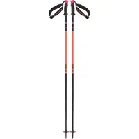 Salomon Polar Pro S3 Poles Argenté 125 cm