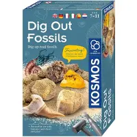 Kosmos Set éducatif Tige fossile ancienne, +7 ans,
