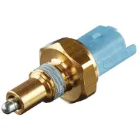 Hella Spinac, lumière vers l'arrière