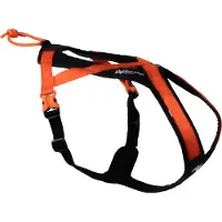 Non-Stop Dogwear Harnais non stop pour chien Jonc orange, Taille : 1