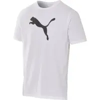Puma Maillot teamRISE Logo Cotton Adulte