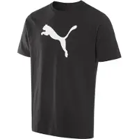 Puma Teamrise T-Shirt Hommes - Noir