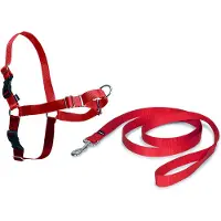 Nayeco Easy Walk harnais pour chien rouge L rouge L