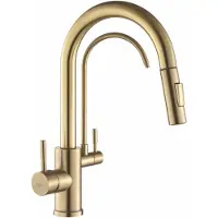REA Robinet De Cuisine Eco Fresh Brush Gold