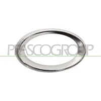 PRASCO Grille de ventilation, pare-chocs 6502-07-3528919P gauche