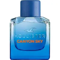 Hollister Canyon Sky For Him Eau de Toilette pour homme 100 ml