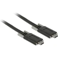 DeLOCK Câble USB - USB-C (M) vers USB-C (M)