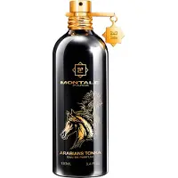 Montale Arabians Tonka Vaporizer 100ml Eau De Parfum Noir Femme