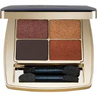 Estée Lauder Pure Color Eyeshadow Quad palette de fards à paupières teinte Wild Earth 6 g